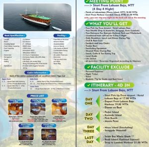 Komodo boat trip phinisi Cruise