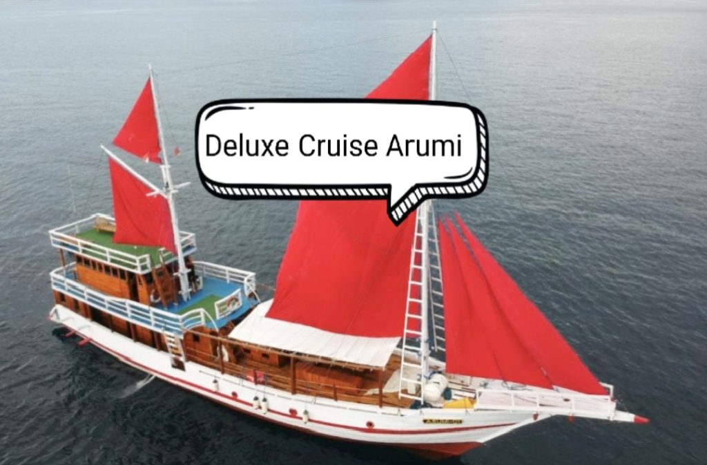Arumi Cruise from Lombok to Flores