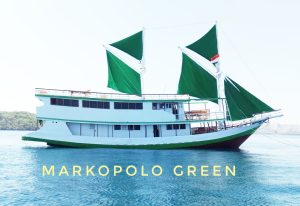 Boat trip by KLM Markopolo 